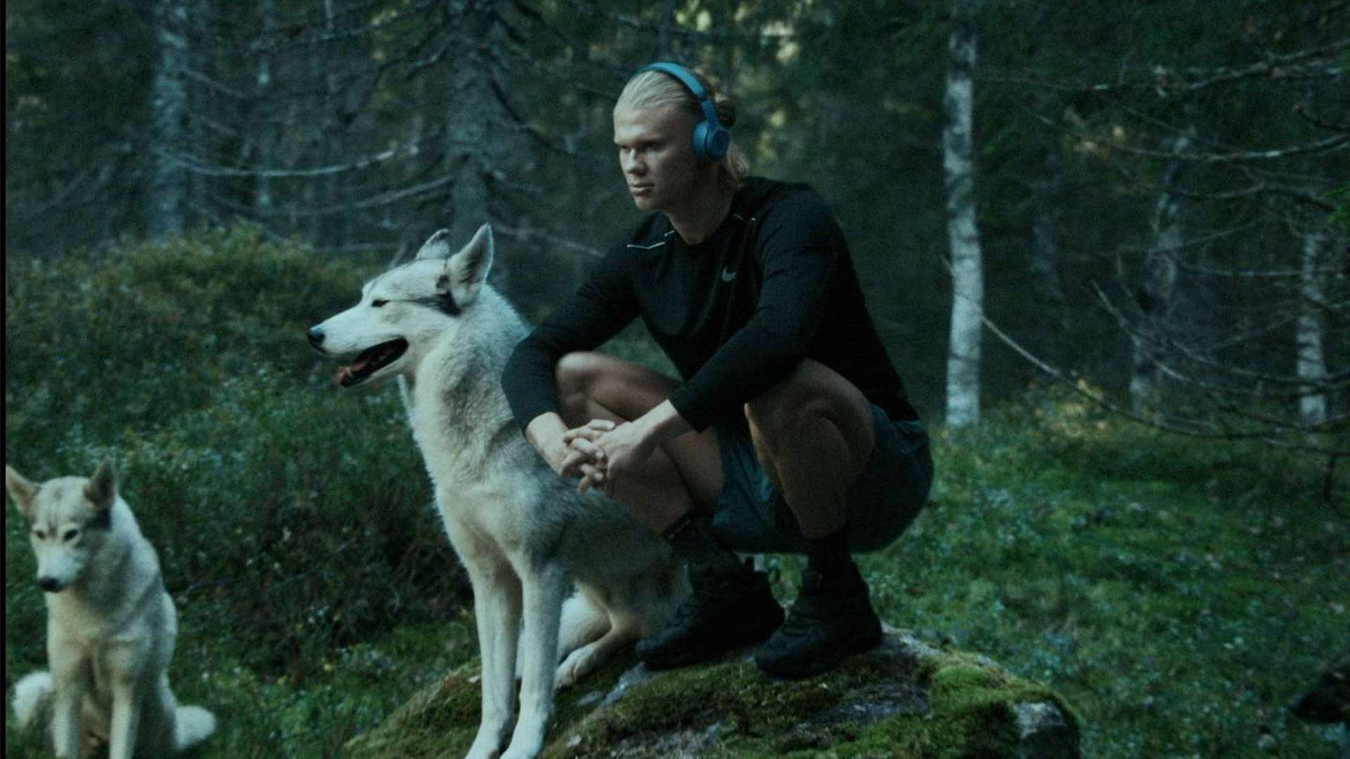 伍内部的稳 伍内部的稳