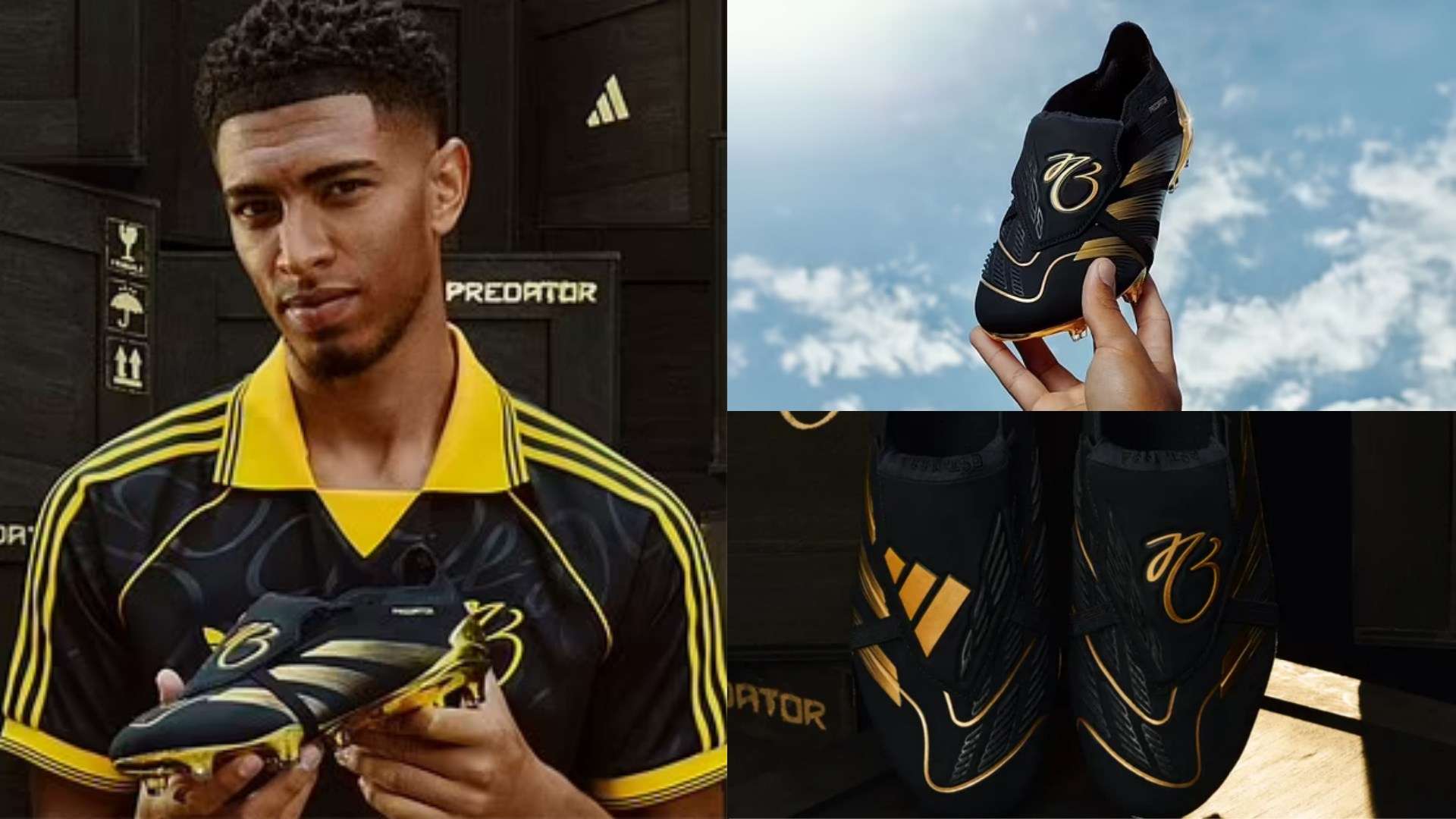 度的体育项 度的体育项